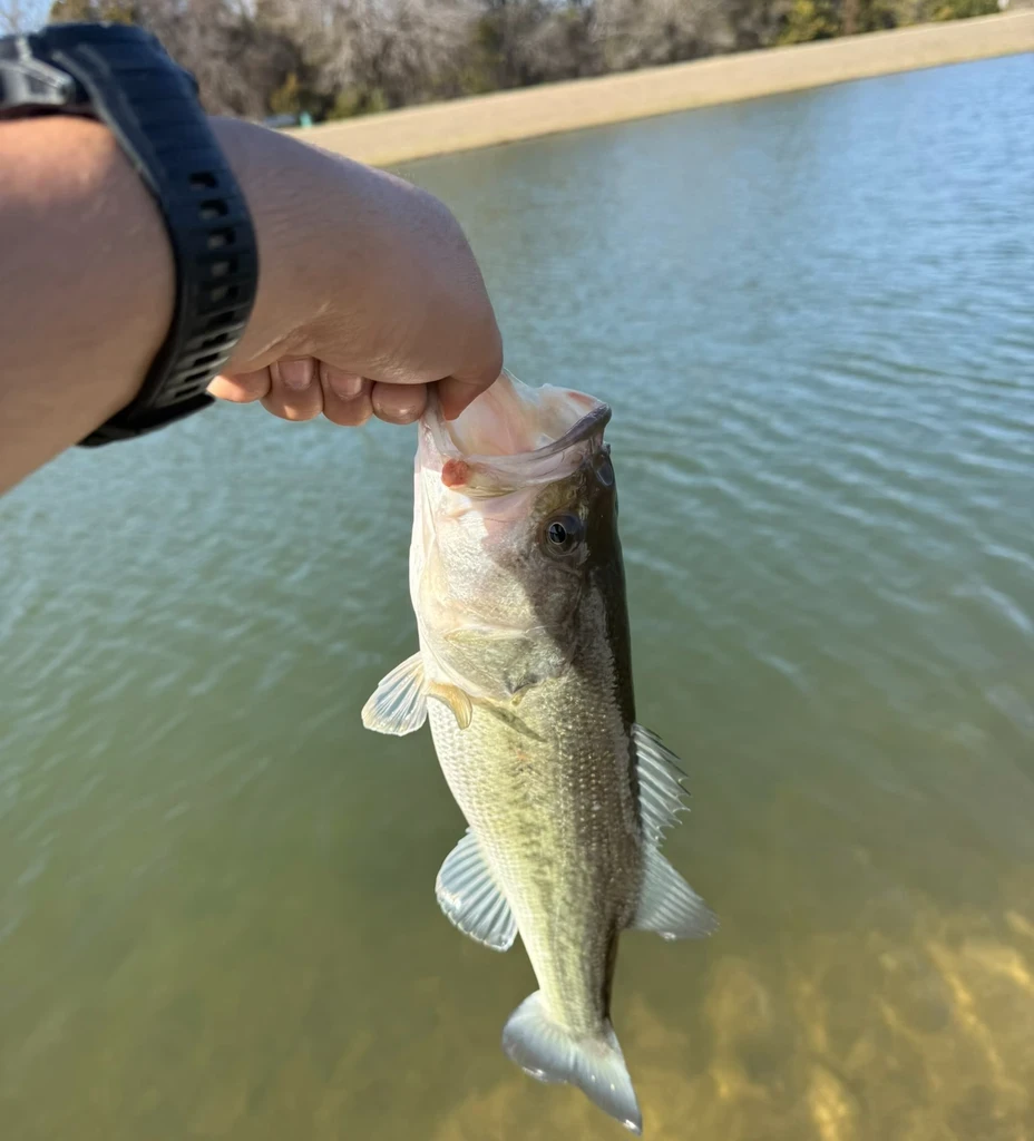 Holding a bass over a lake